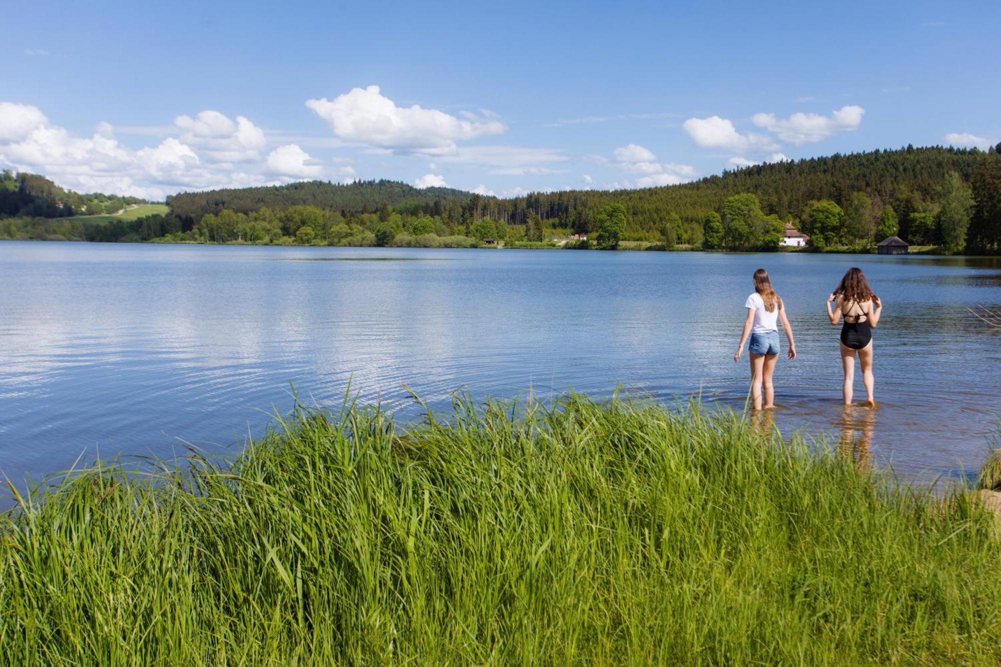 Resort Olsina Horní Planá Eksteriør billede