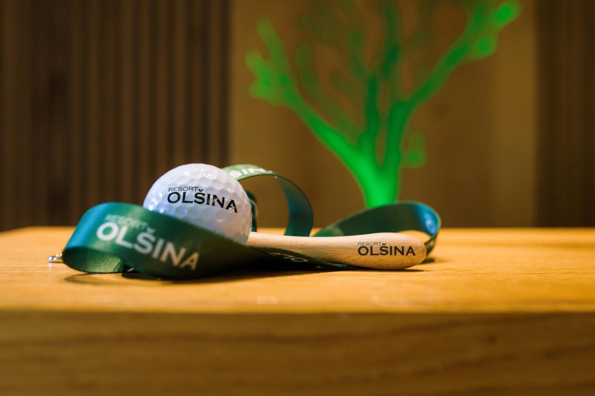 Resort Olsina Horní Planá Eksteriør billede