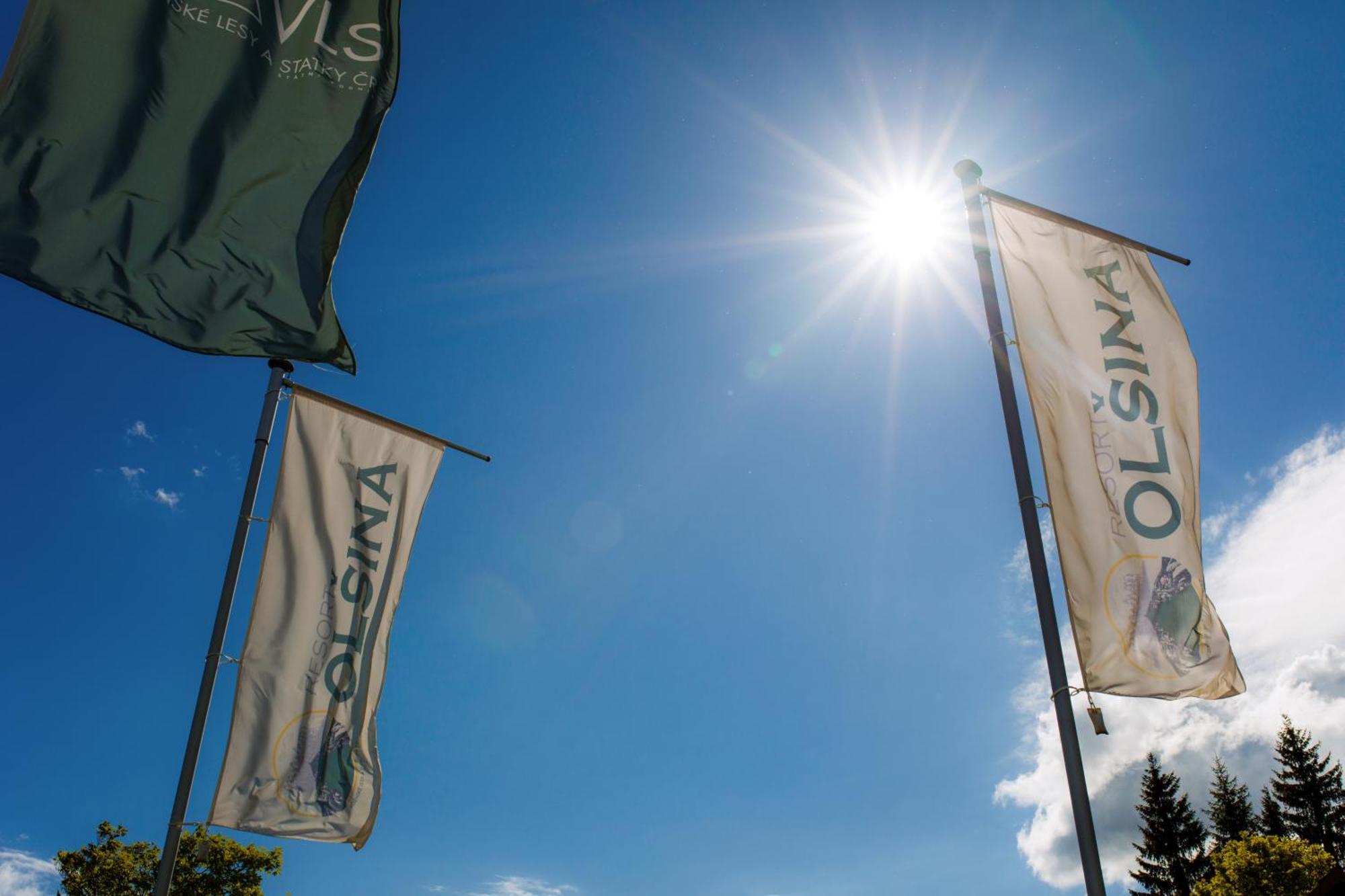 Resort Olsina Horní Planá Eksteriør billede