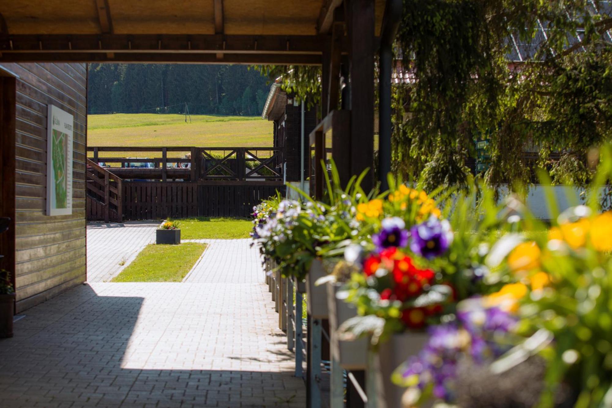 Resort Olsina Horní Planá Eksteriør billede
