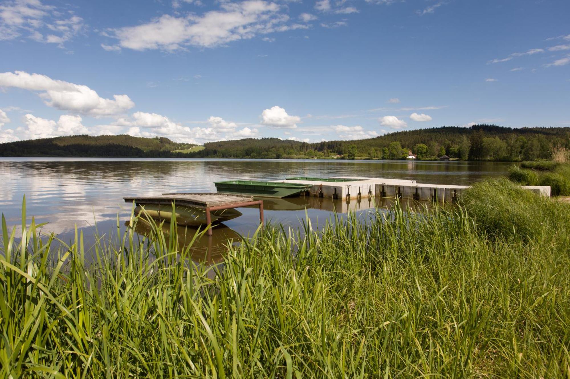 Resort Olsina Horní Planá Eksteriør billede