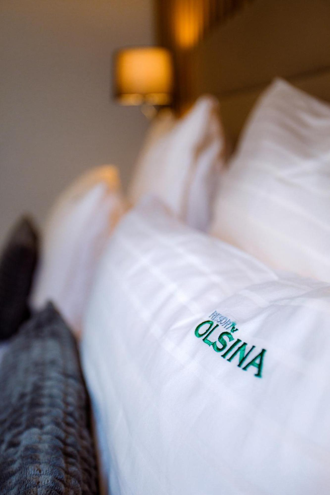 Resort Olsina Horní Planá Eksteriør billede