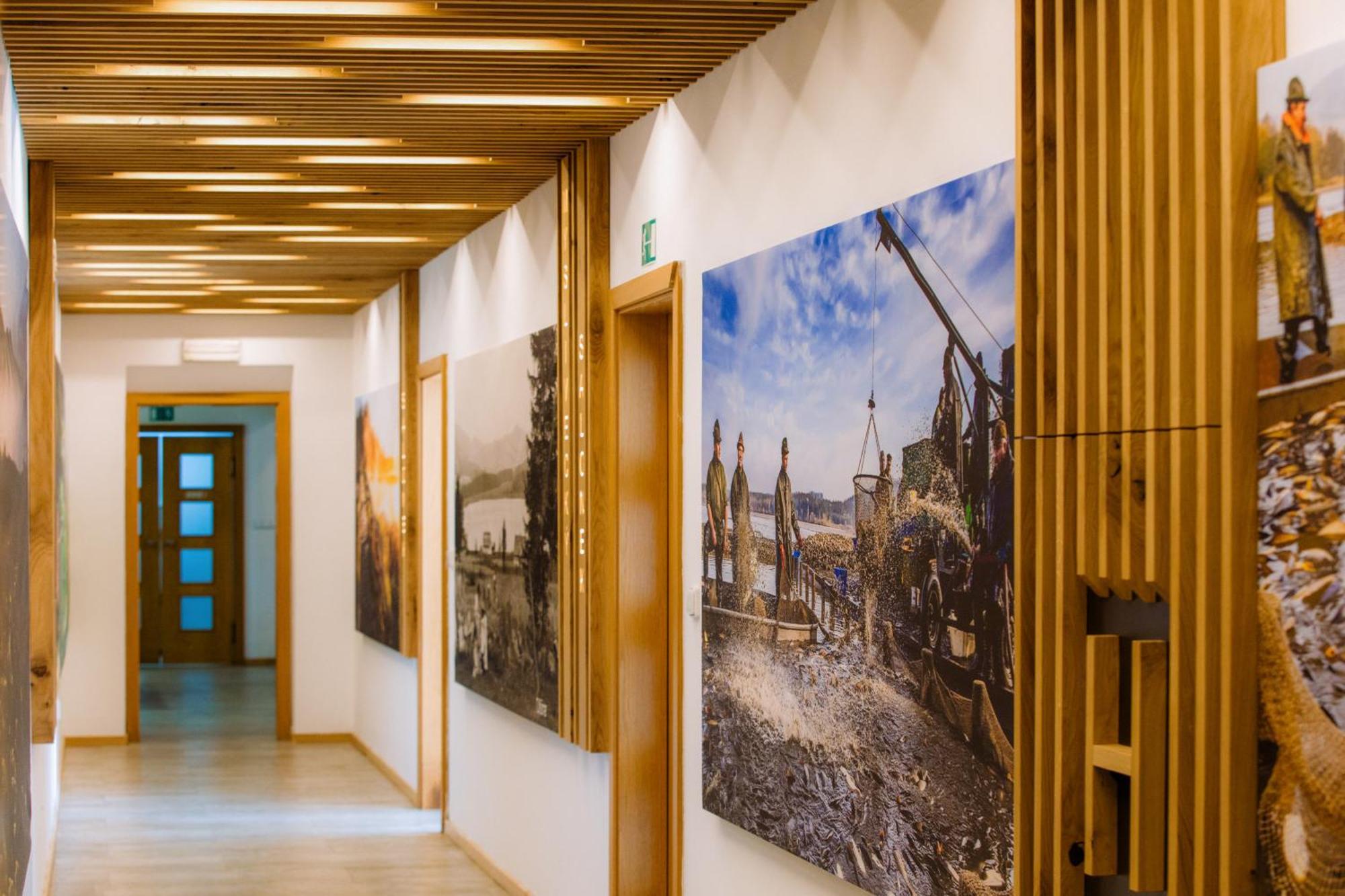 Resort Olsina Horní Planá Eksteriør billede